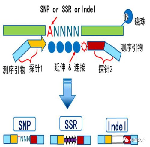 十三五重大漁業科技發展回顧與展望