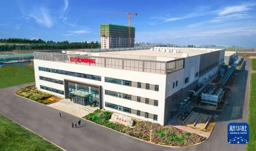 聽(tīng)，高質(zhì)量發(fā)展新脈動(dòng) 以科技自強(qiáng)搶占未來(lái)新賽道